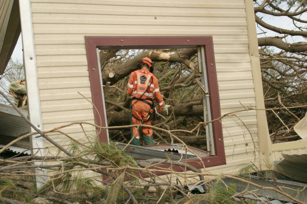 Best Tree Removal  in Mcarthur, OH